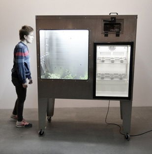 慎入 冰島男子昆蟲餐 居家飲食的另類食物與軟件開發視角